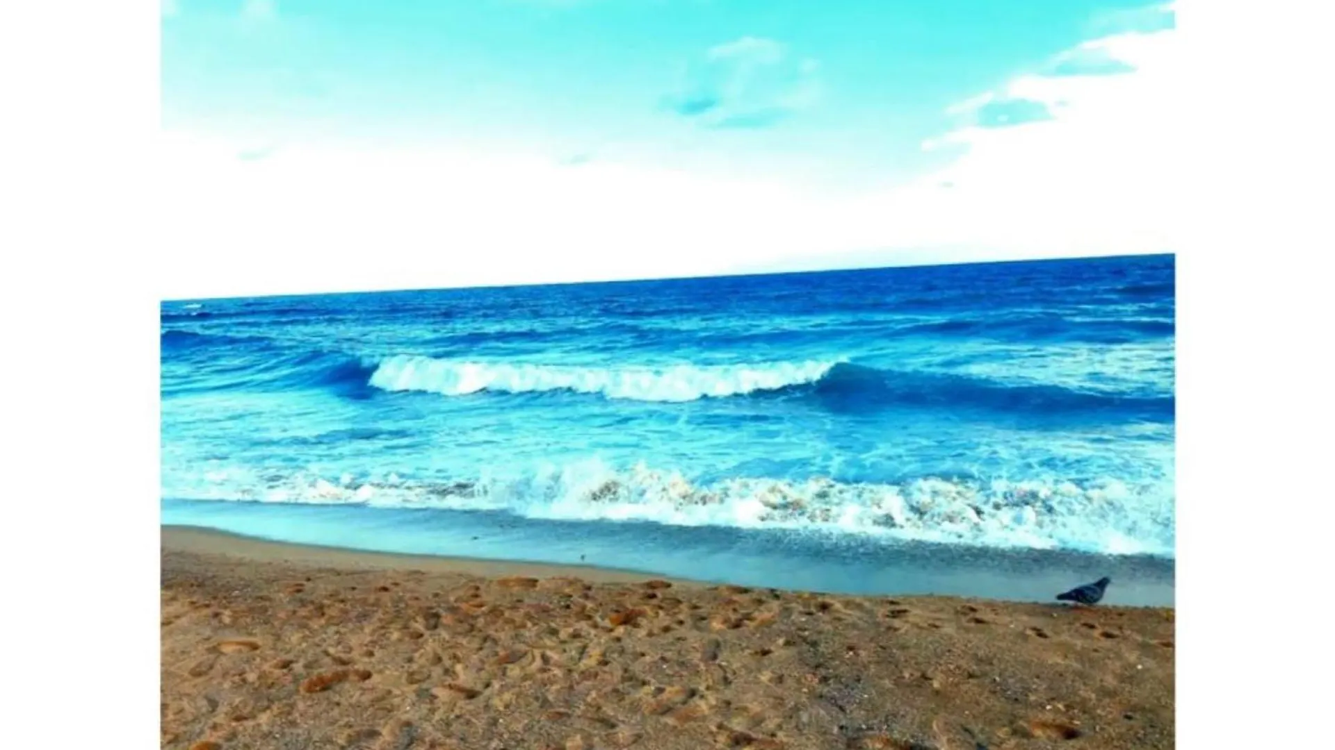 Apartament Comfort Home Playa Poblenou Barcelona