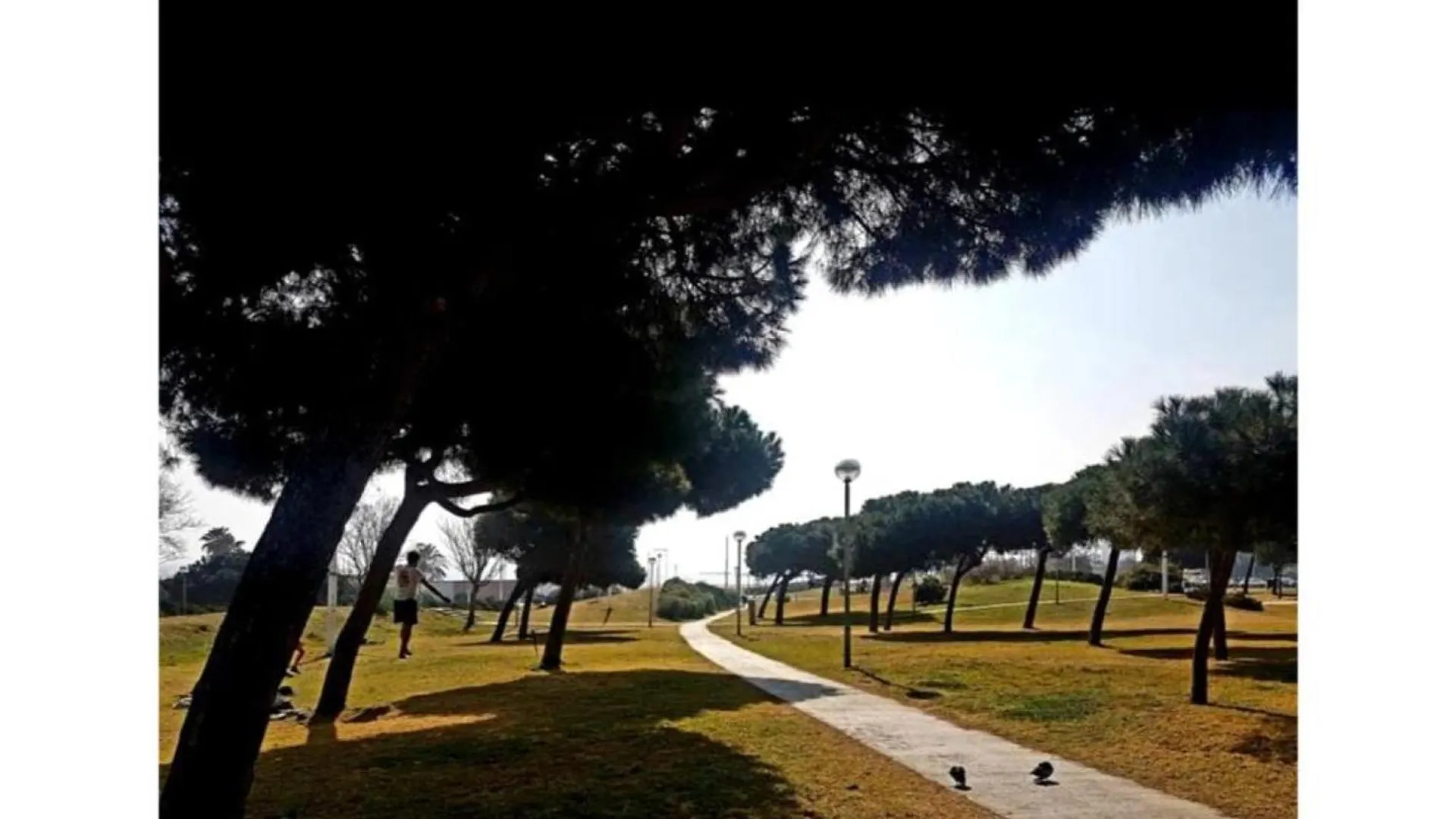 Comfort Home Playa Poblenou Barcelona